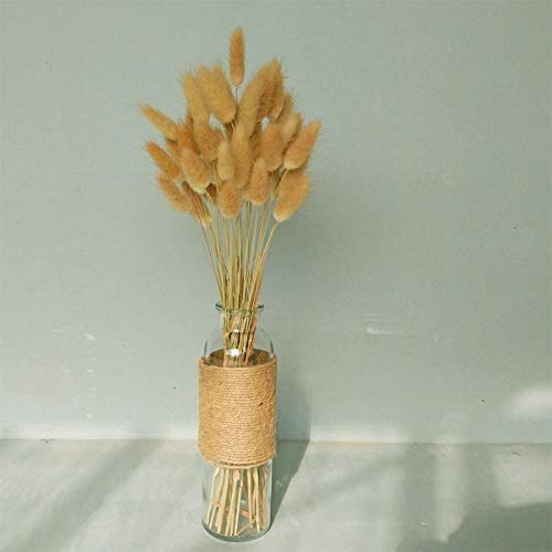 Amazon｜自然乾燥ラグラス オバタス 50-60個 乾燥バニーテール パンパ